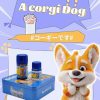 CORGI Premium Poppers TAIWAN PWD Original 40+20ml